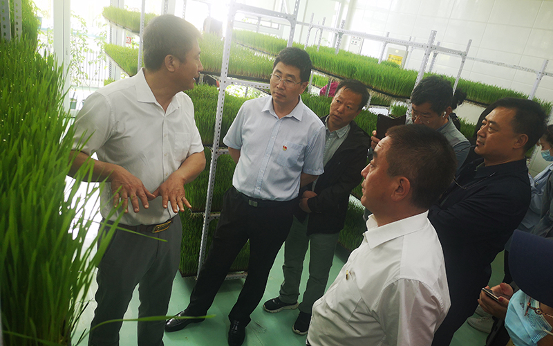微信图片_20210603161256.jpg 微信图片_20210603161256.jpg