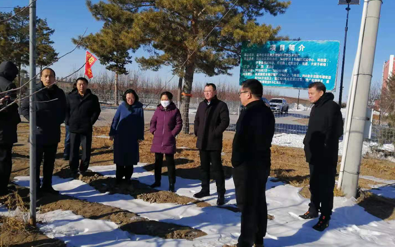 现场参观.jpg 现场参观.jpg