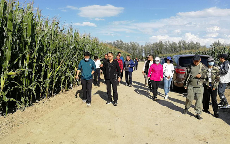 团队首席专家杨恒山教授向与会人员介绍项目情况.jpg 团队首席专家杨恒山教授向与会人员介绍项目情况.jpg