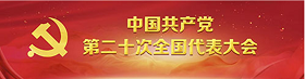 二十大